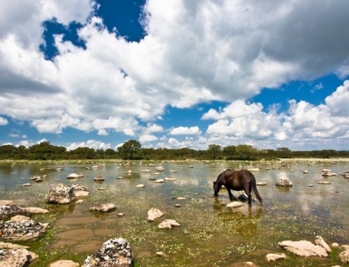 SU NURAXI AND THE GIARA OF GESTURI