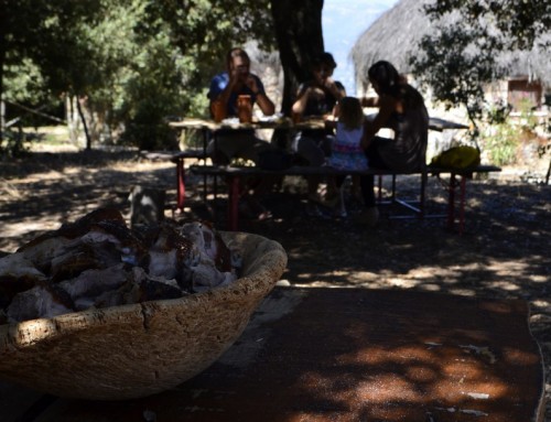 LUNCH  WITH THE SHEPHERDS