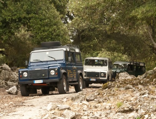 Incentive in Sardinia